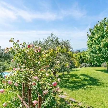 Le Selve Apartment Lari